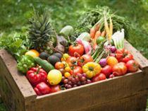 Organic Provence: producers and biological farmers in France