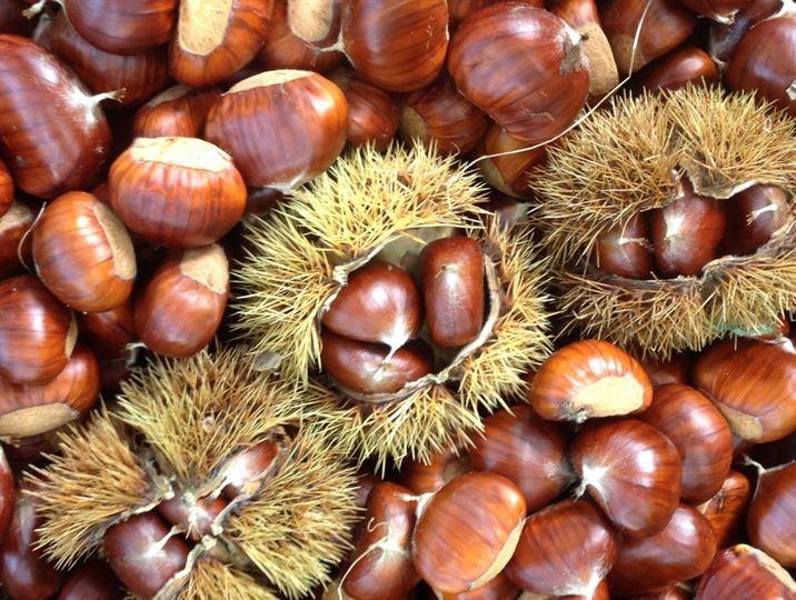 chestnuts of Provence