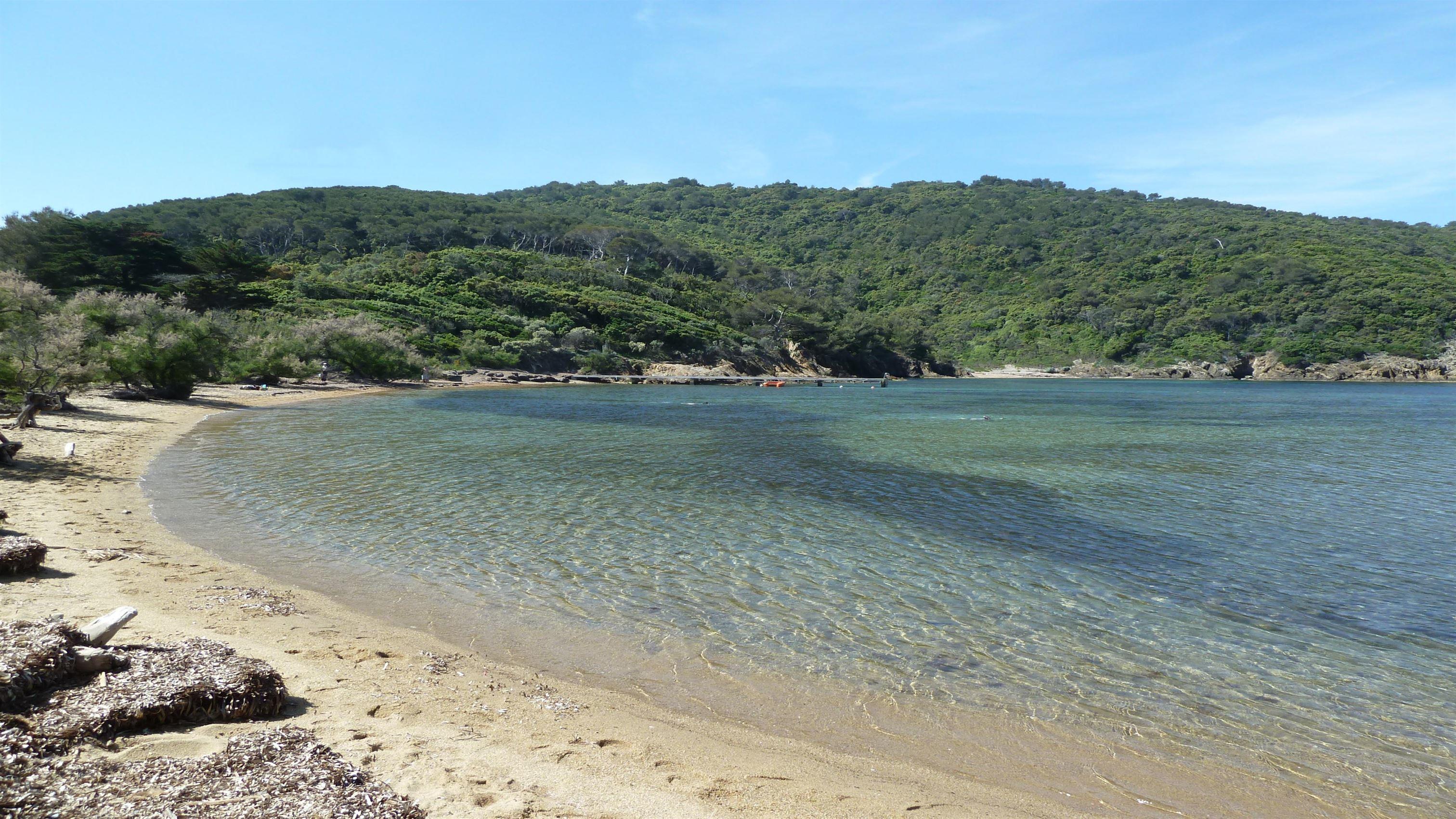 magnifique plage sud France var provence port cros palud île