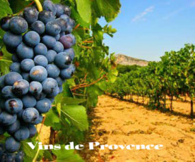 domaine viticole var