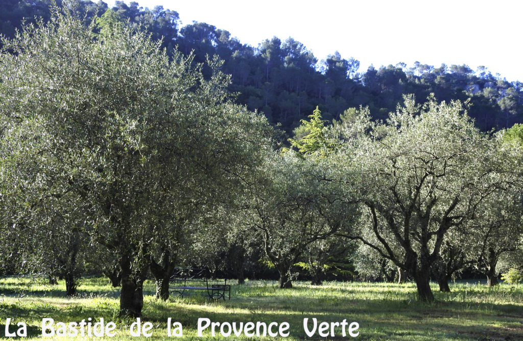 musique en Provence