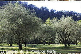 Chambre d hôtes de charme Provence Var